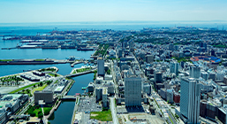 地域性を活かしたマーケティング提案